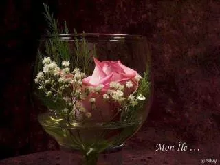 mon le