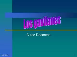 los gavilanes