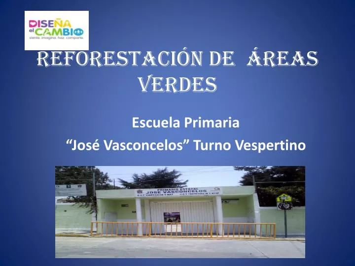 reforestaci n de reas verdes