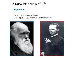 A Darwinian View of Life I. Overview - Darwin (1859) Origin of Species