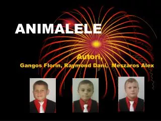 animalele
