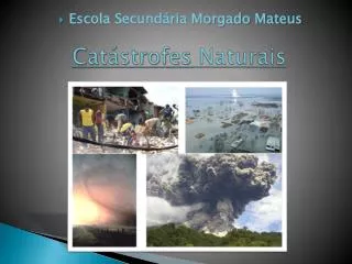 cat strofes naturais
