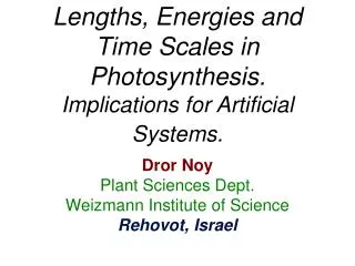 Lengths, Energies and Time Scales in Photosynthesis. Implications for Artificial Systems.
