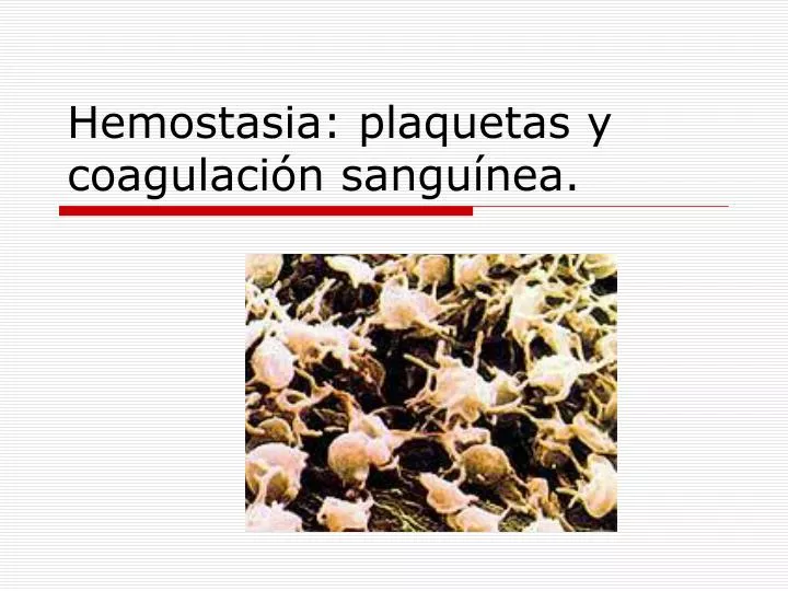 hemostasia plaquetas y coagulaci n sangu nea
