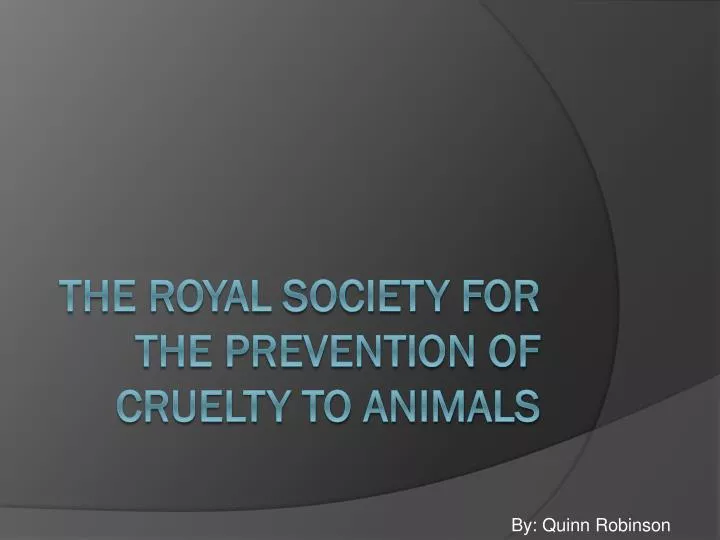 the royal society for the prevention of cruelty to animals