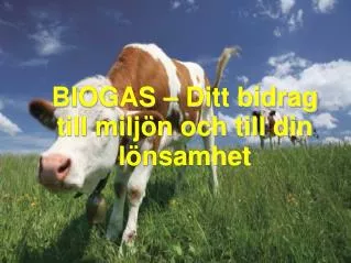 BIOGAS – Ditt bidrag till miljön och till din lönsamhet