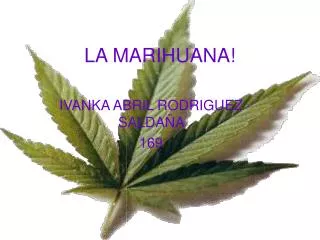 la marihuana