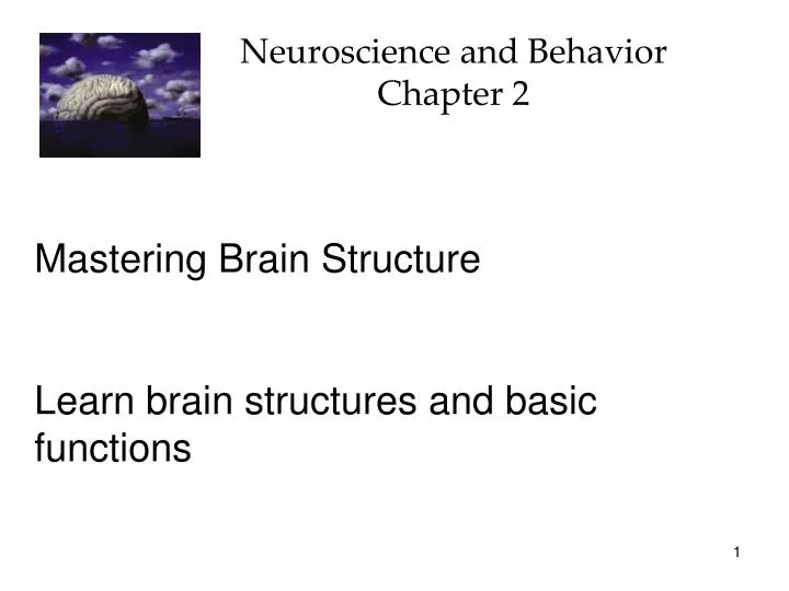 neuroscience and behavior chapter 2