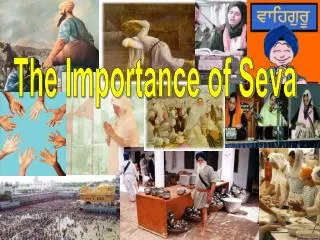 The Importance of Seva