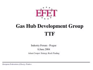 Gas Hub Development Group TTF