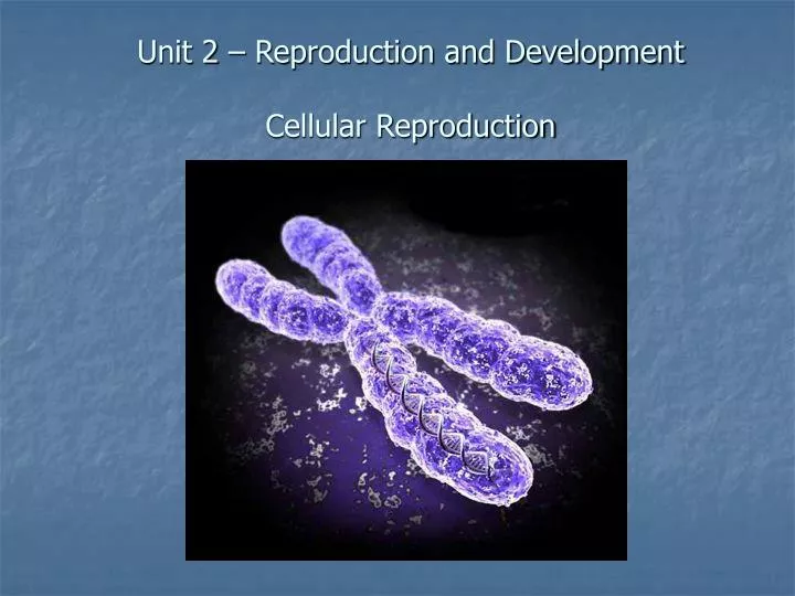 unit 2 reproduction and development cellular reproduction