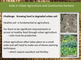 Soils in Urban Agriculture and Community Gardens