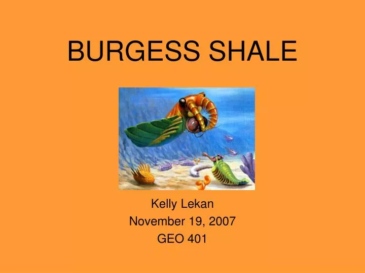 burgess shale