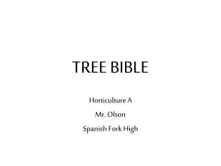 TREE BIBLE
