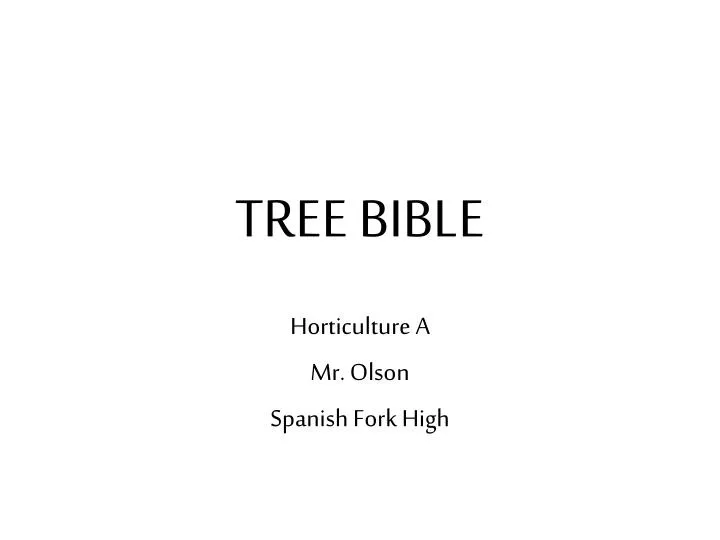 tree bible