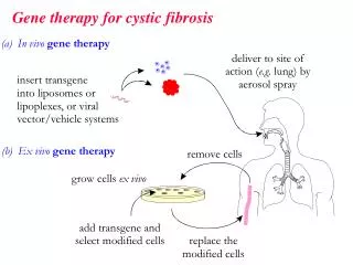 Gene therapy for cystic fibrosis