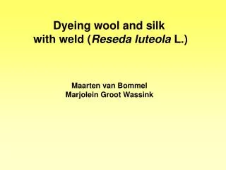 Dyeing wool and silk with weld ( Reseda luteola L.)