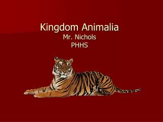 Kingdom Animalia Mr. Nichols PHHS