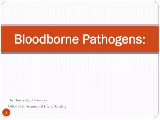 Bloodborne Pathogens: