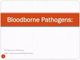 bloodborne pathogens