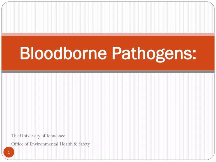 bloodborne pathogens