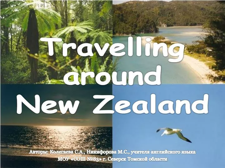 travelling around new zealand