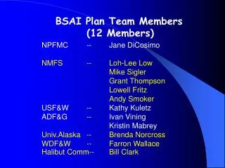 BSAI Plan Team Members (12 Members)