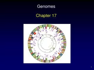 Genomes