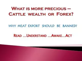 What is more precious – Cattle wealth or Forex?