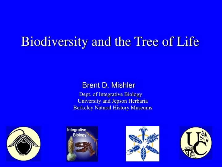 biodiversity and the tree of life