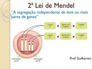 2 lei de mendel
