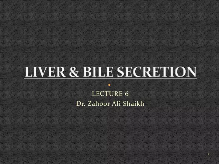liver bile secretion