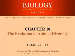 CHAPTER 18 The Evolution of Animal Diversity