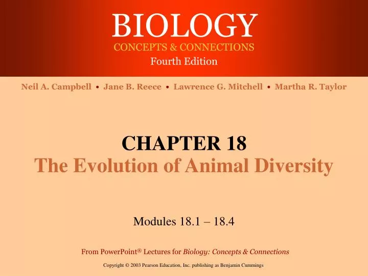 chapter 18 the evolution of animal diversity