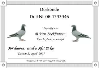 Oorkonde Duif NL 06-1793946
