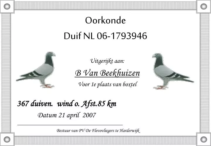 oorkonde duif nl 06 1793946