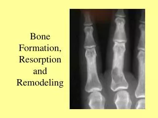 Bone Formation, Resorption and Remodeling