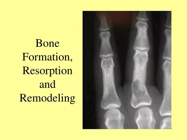 bone formation resorption and remodeling