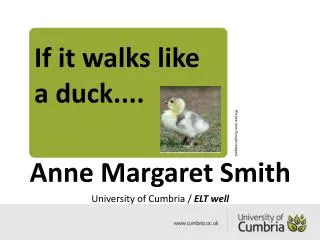 If it walks like a duck....