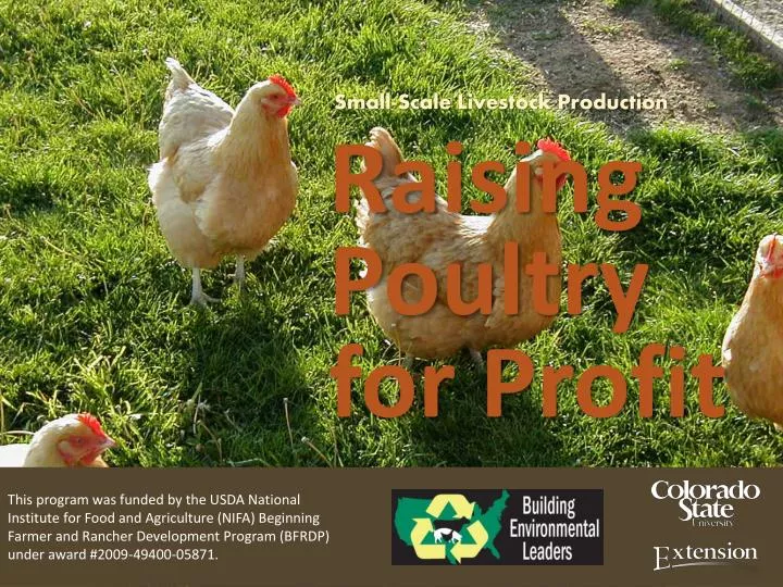 small scale livestock production raising poultry for profit
