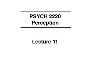 PSYCH 2220 Perception Lecture 11