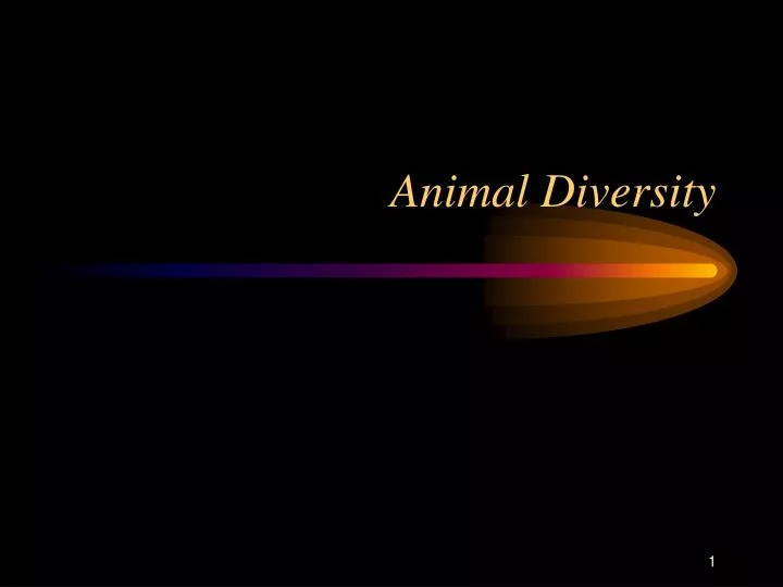 animal diversity