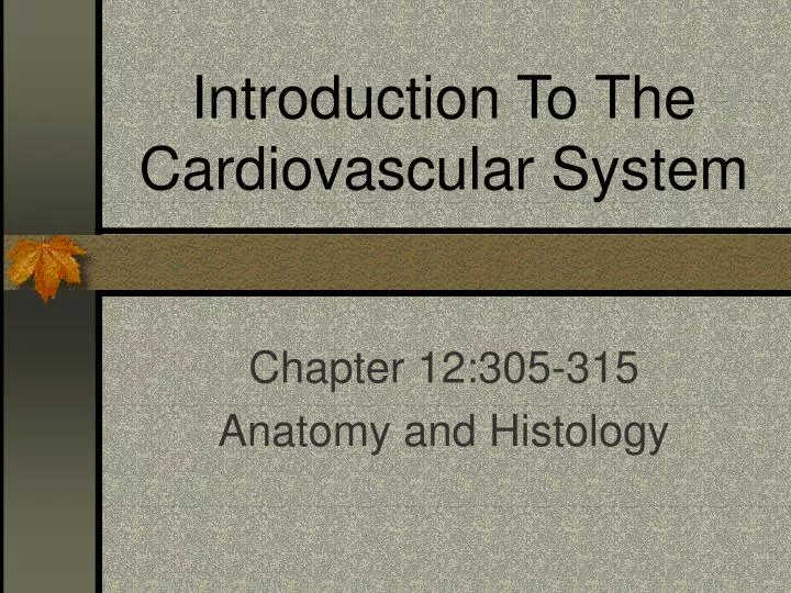 introduction to the cardiovascular system