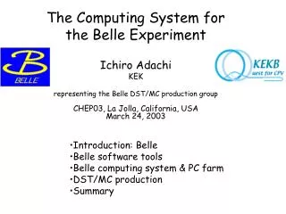 The Computing System for the Belle Experiment