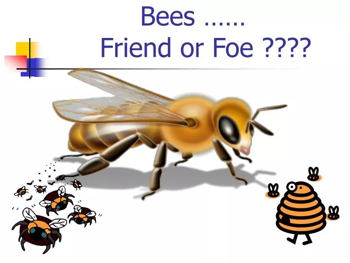 bees friend or foe