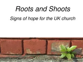 Roots and Shoots Signs of hope for the UK church
