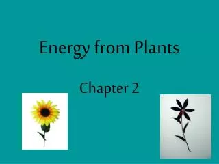 Energy from Plants