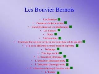 les bouvier bernois