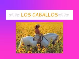 los caballos