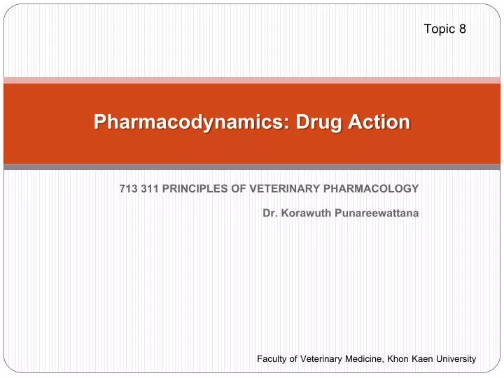 pharmacodynamics drug action